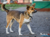 1517img_6648_wynik