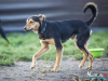 1517img_6651_wynik