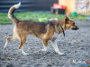 1517img_6659_wynik