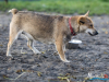 1517img_6660_wynik