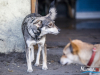 1518img_6664_wynik