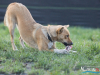 1519img_6670_wynik