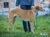 1520img_6672_wynik