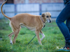 1521img_6678_wynik