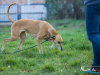 1521img_6679_wynik