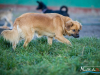 1538img_6687_wynik