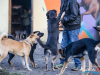 1543img_6691_wynik