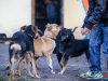 1543img_6693_wynik