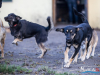 1543img_6694_wynik