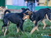 1543img_6696_wynik
