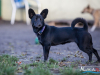 1544img_6698_wynik
