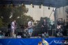 1942IMG_9884