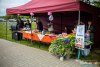 HMIMG_0781