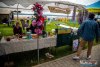 HMIMG_0783