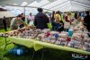 HMIMG_0846