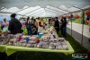 HMIMG_0847