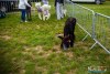 HMIMG_1035