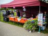 HMIMG_0781