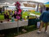 HMIMG_0783
