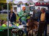 HMIMG_0808