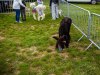 HMIMG_1035