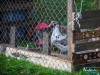 1357img_5595