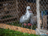 1357img_5596