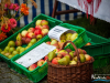 1405img_5652
