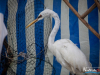 1407img_5668