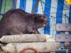1408img_5670