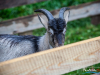 1409img_5675