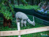 1409img_5677
