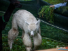 1410img_5679