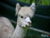 1410img_5683