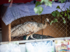 1412img_5702