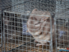 1414img_5709