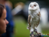 1419img_5720