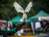 1422img_5729