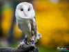 1423img_5739