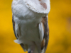 1423img_5741