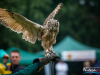 1434img_5760