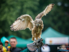 1434img_5761