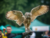 1434img_5762
