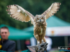 1434img_5766