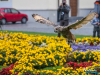 1440img_5813