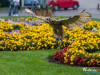 1440img_5814