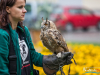 1441img_5817