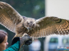 1443img_5821