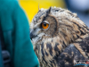 1444img_5828