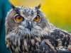 1444img_5833